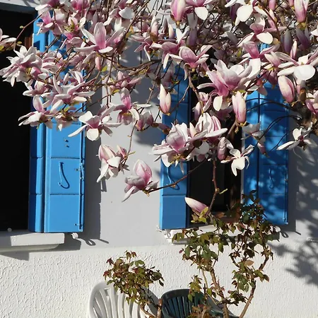 Mirella's House Padua